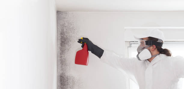Best Mold Testing  in Concordia, MO